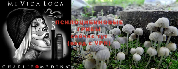 a pvp Семилуки