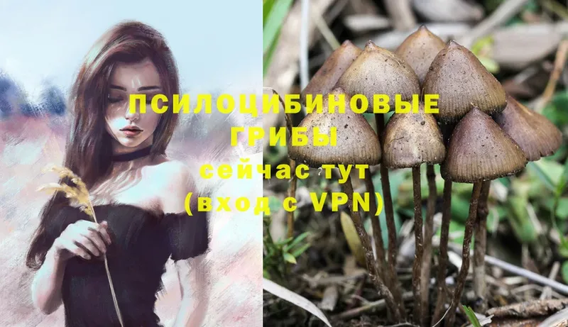 MEGA сайт Ардатов Галлюциногенные грибы мухоморы