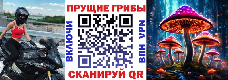 площадка официальный сайт  Ардатов  Галлюциногенные грибы Cubensis  где купить наркоту 